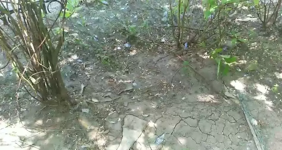 今晨，大慶經(jīng)五街2-41號樓二單元一樓發(fā)生燃氣爆炸！