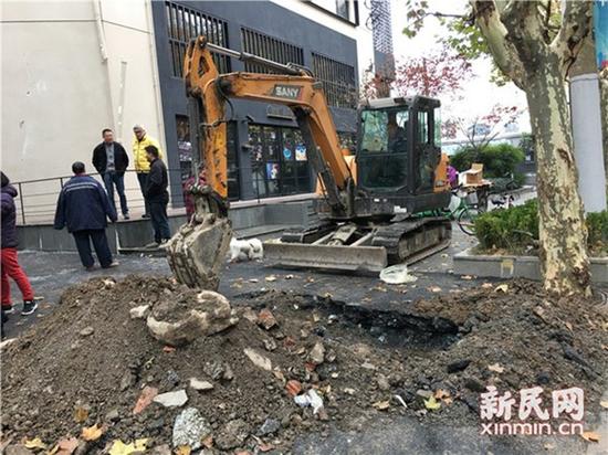 圖片說(shuō)明：挖掘機(jī)現(xiàn)場(chǎng)作業(yè) 圖片均為新民晚報(bào)新民網(wǎng)陳浩攝